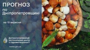 Погода в Дніпрі та області на 19 вересня: без опадів і потепління