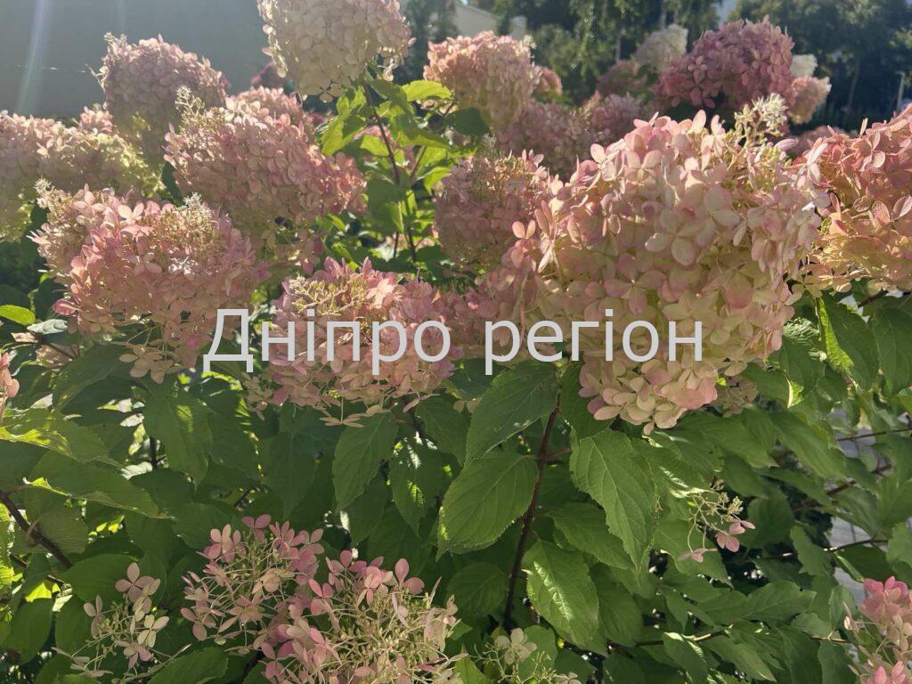 В Україну йде антициклон з грозовими дощами та спекою: якою буде погода у Дніпрі та області 4 вересня