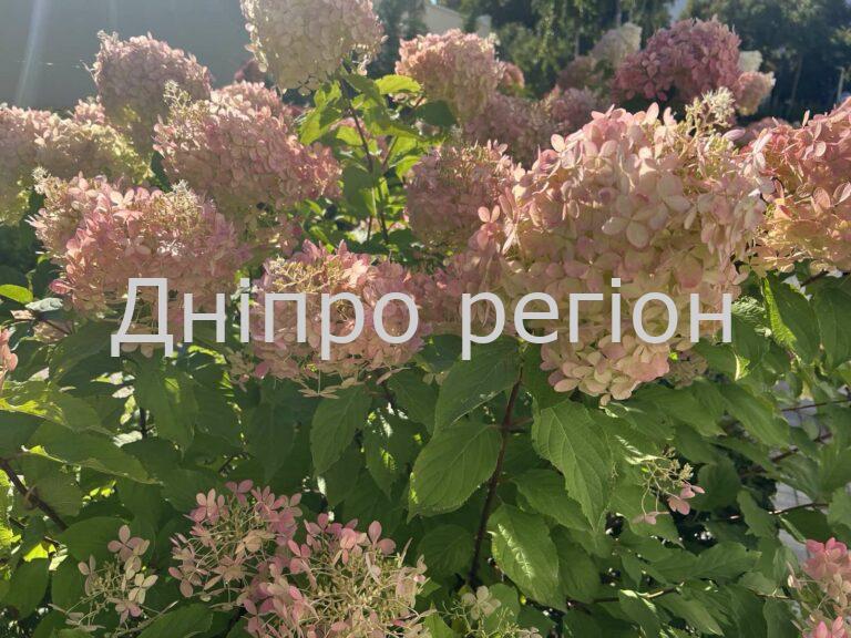 В Україну йде антициклон з грозовими дощами та спекою: якою буде погода у Дніпрі та області 4 вересня