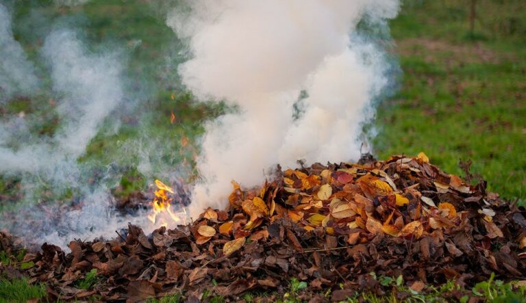 Штраф до 21420 грн або кримінальна відповідальність: мешканцям Дніпропетровщини нагадали про заборону спалювання листя