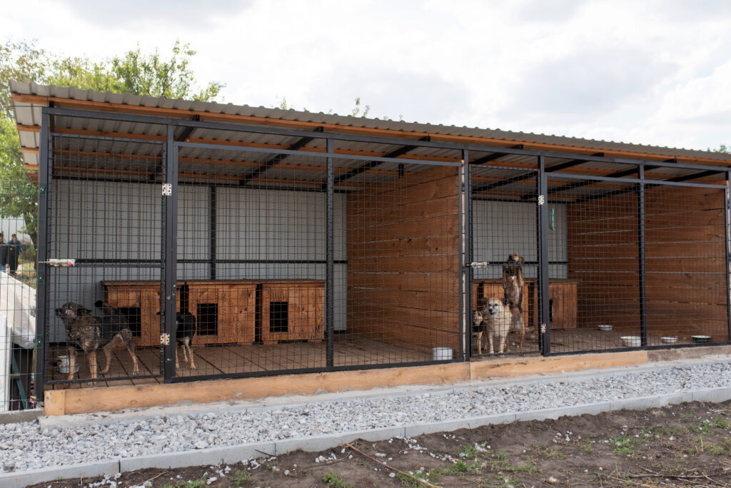 Інтерпайп долучився до порятунку тварин у притулку “Пегас”