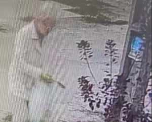 У Дніпрі спіймали жінку, яка викопувала рослини з клумб (відео)