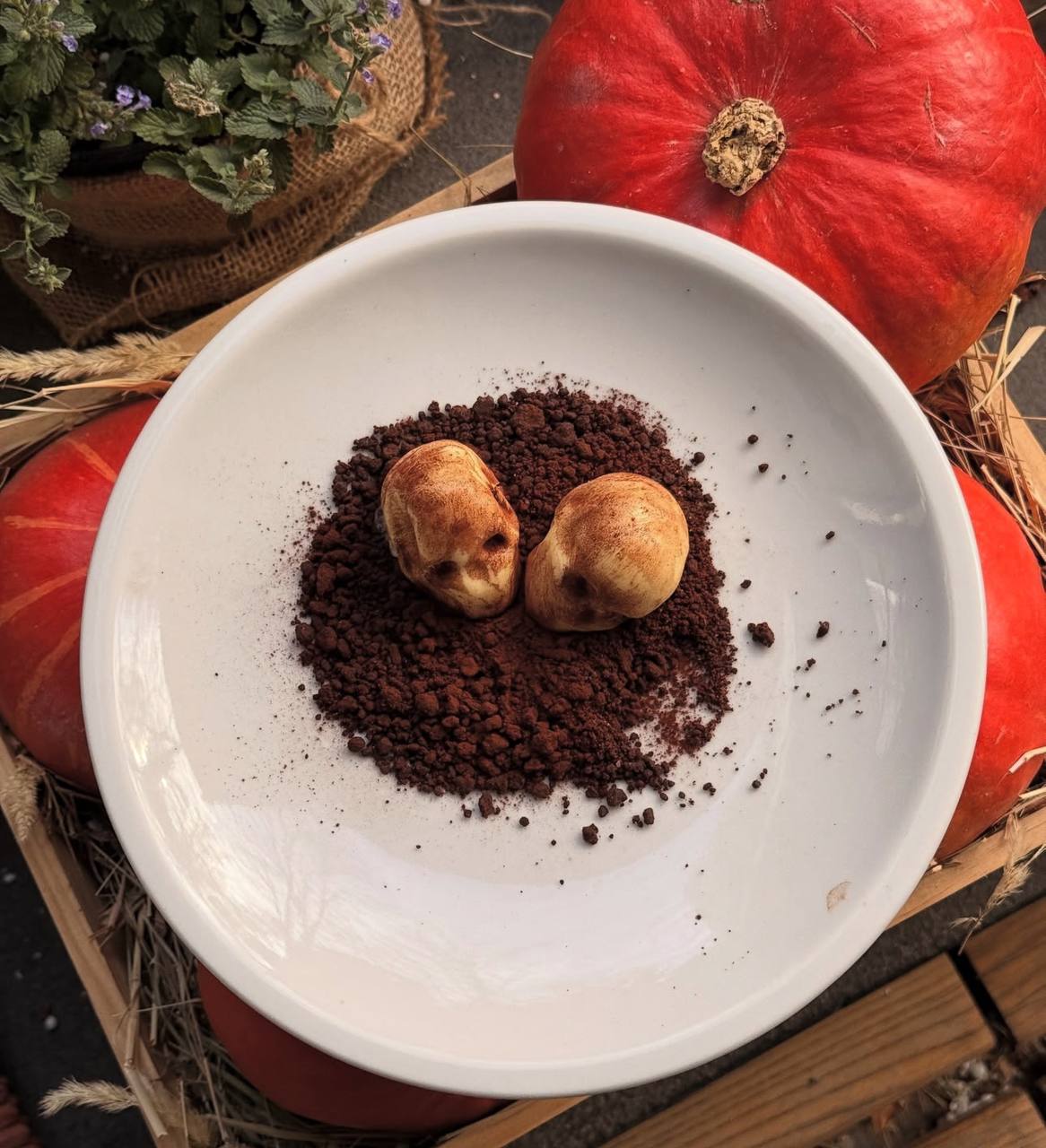 У Дніпрі створили унікальні десерти до Гелловіну