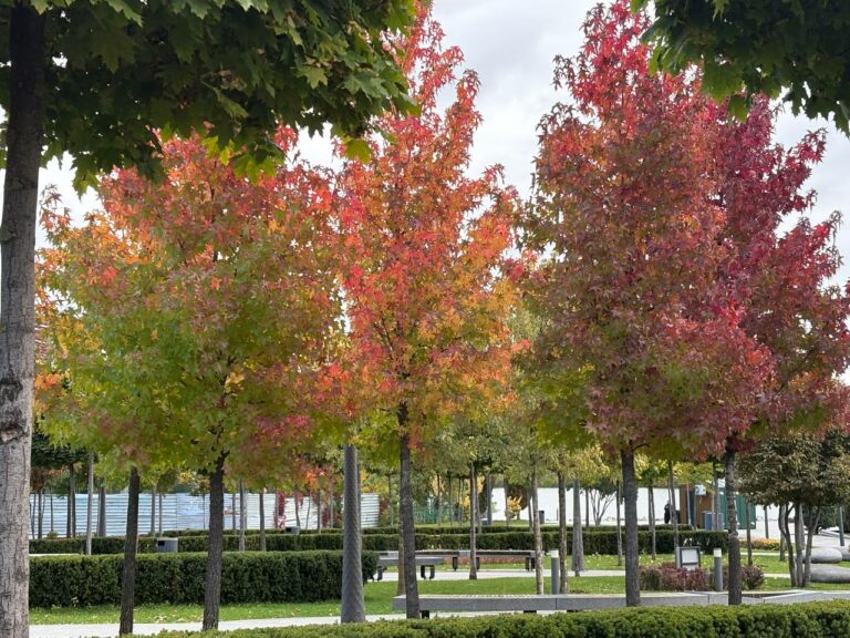 У Дніпрі буде тепло: прогноз погоди на 23 жовтня 2025 року