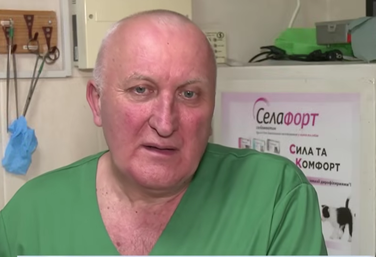 У Кривому Розі скажений кіт покусав щонайменше п'ятеро людей