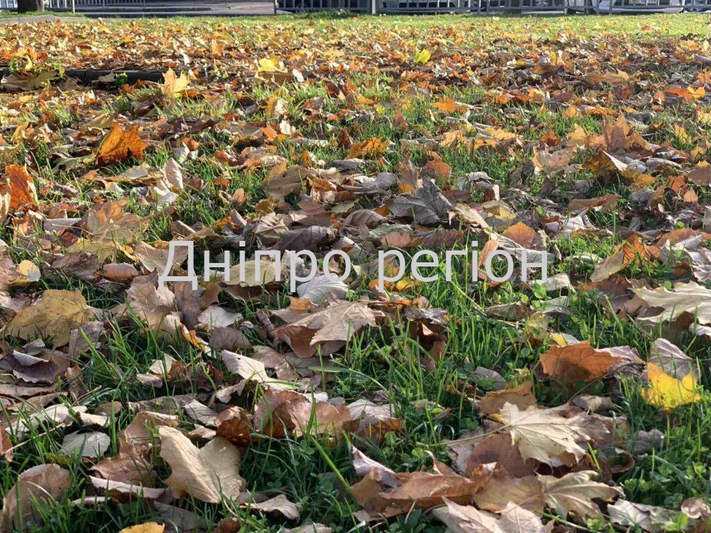 Дощ та туман: якою буде погода у Дніпрі та області 11 жовтня