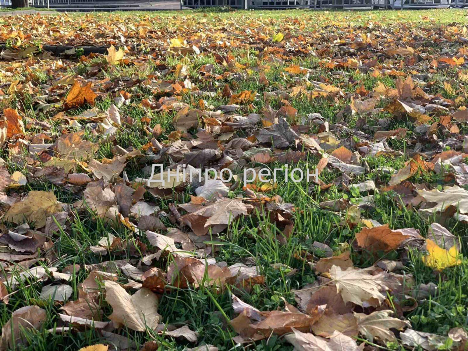Дощ та туман: якою буде погода у Дніпрі та області 11 жовтня Дощ та туман: якою буде погода у Дніпрі та області 11 жовтня