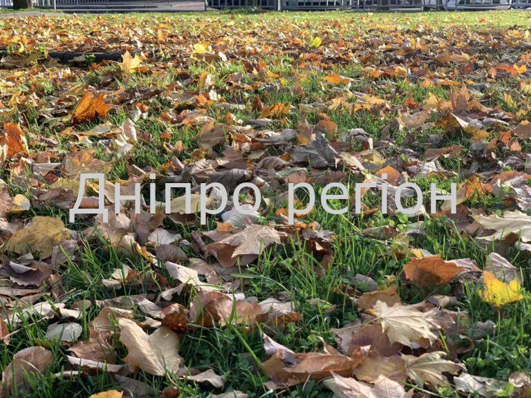 Дощ та туман: якою буде погода у Дніпрі та області 11 жовтня