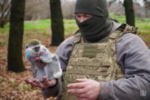 Це мавпочка Зина — улюблениця підрозділу бойових медиків з ТРо Дніпра