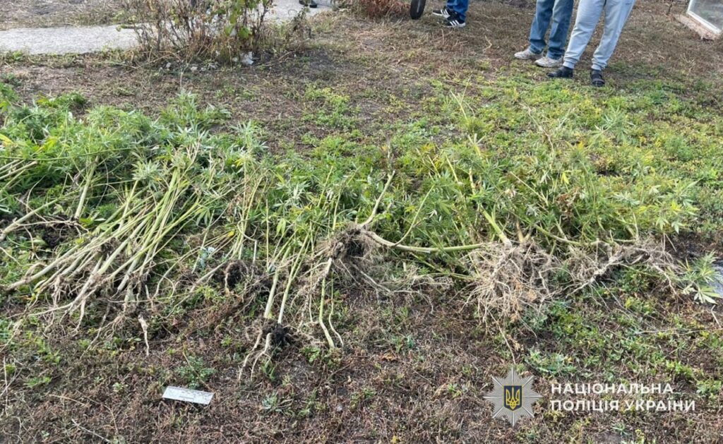 На Дніпропетровщині затримали агронома, який хотів озолотитись