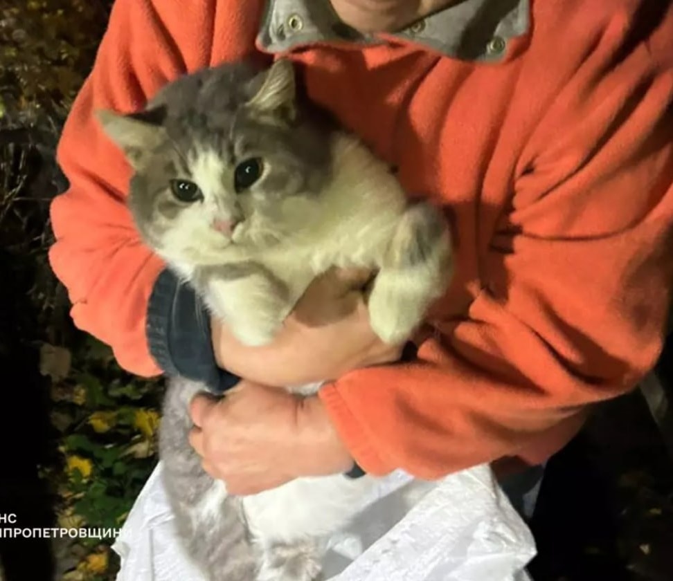 У Дніпрі рятувальники витягли котика з 9-метрового колодязя