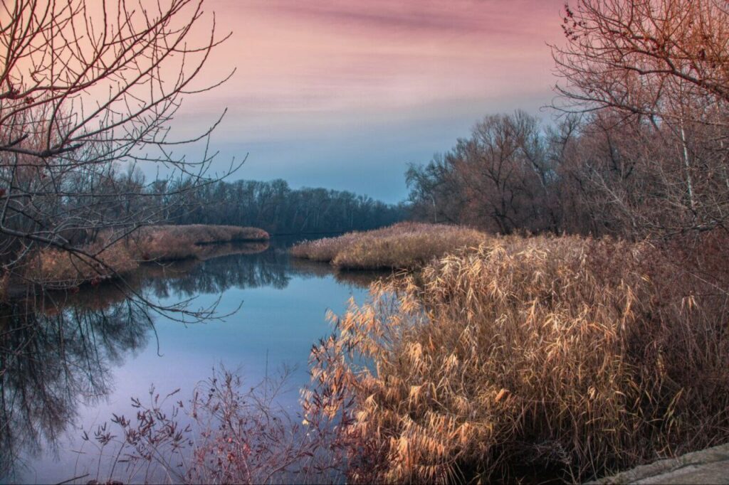У Дніпрі в Діївських плавнях побачили містичну красу