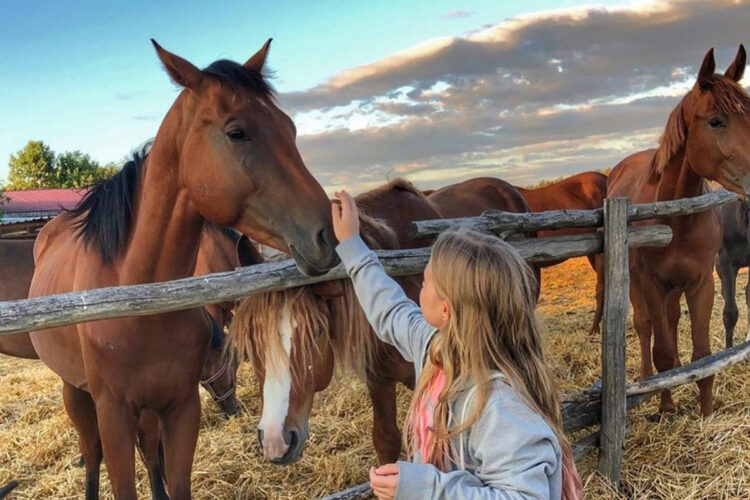 Куди піти у Дніпрі на вихідні 22-23 листопада: відпочинок для дорослих і дітей