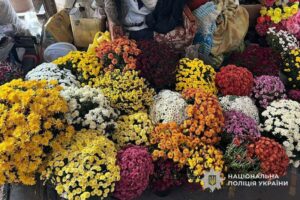 На Дніпропетровщині затримали чоловіків, які обкрадали могили захисників