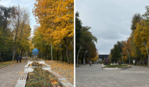 Де у Дніпрі знайти безкоштовний Wi-Fi у парках