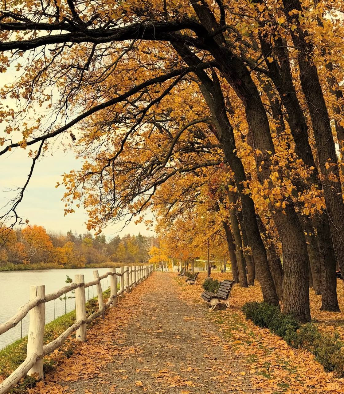 Осінній Дніпро у кадрі: ФОТО