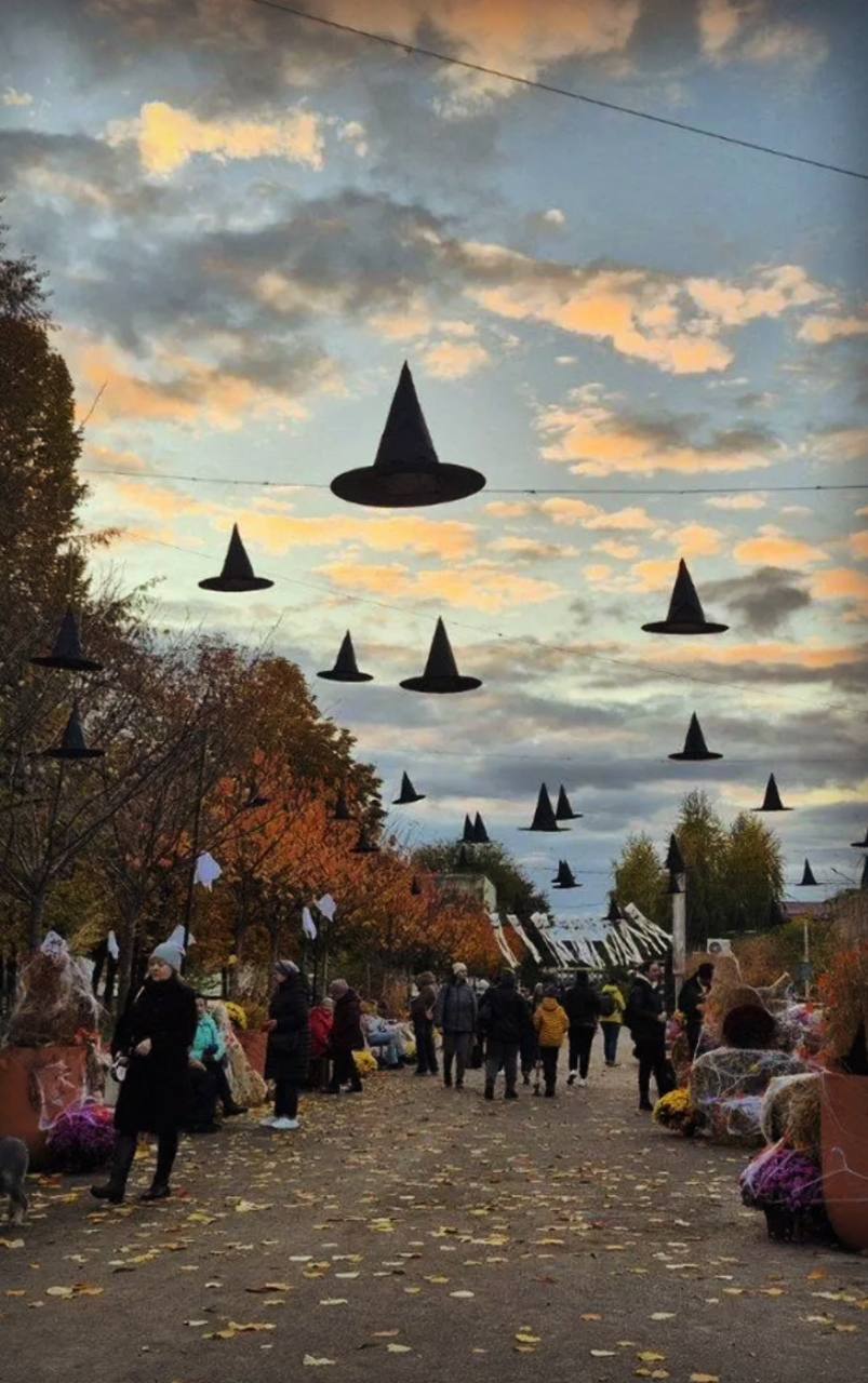 Осінній Дніпро у кадрі: ФОТО