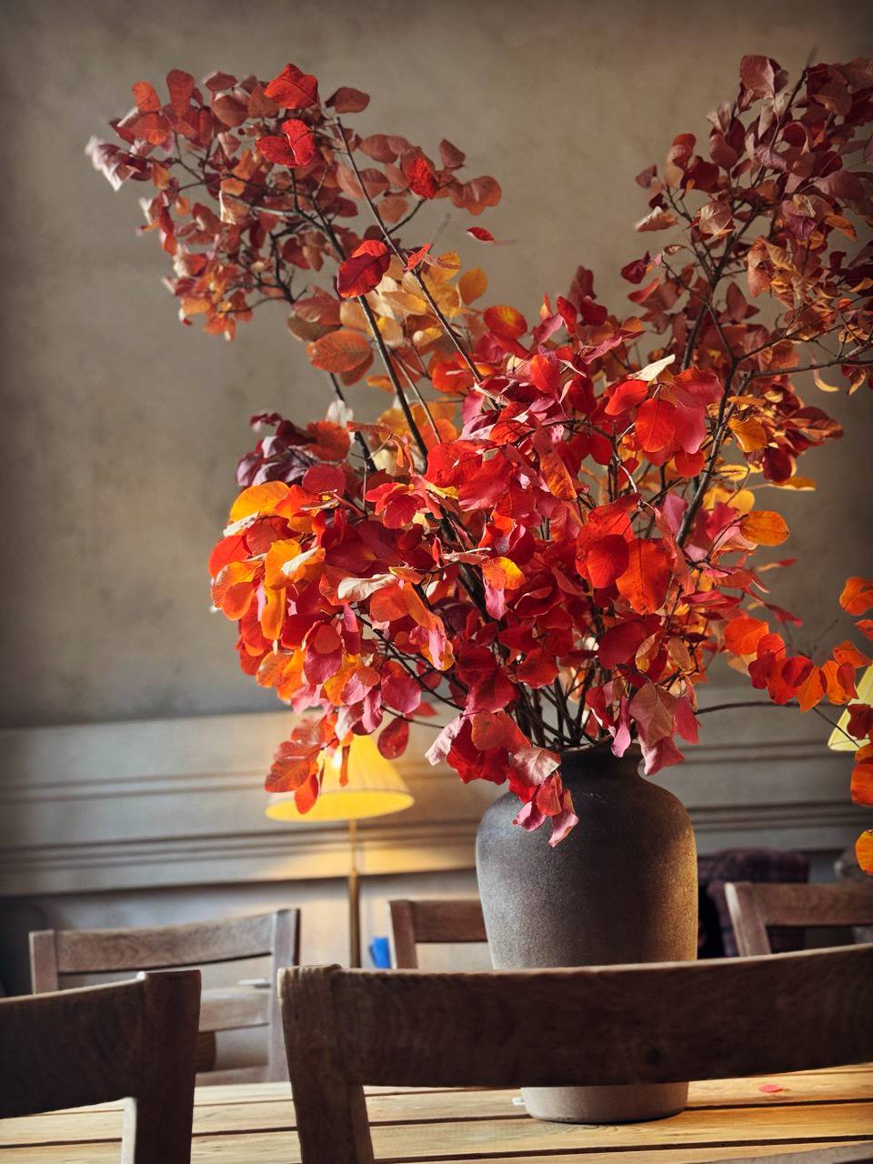 Осінній Дніпро у кадрі: ФОТО