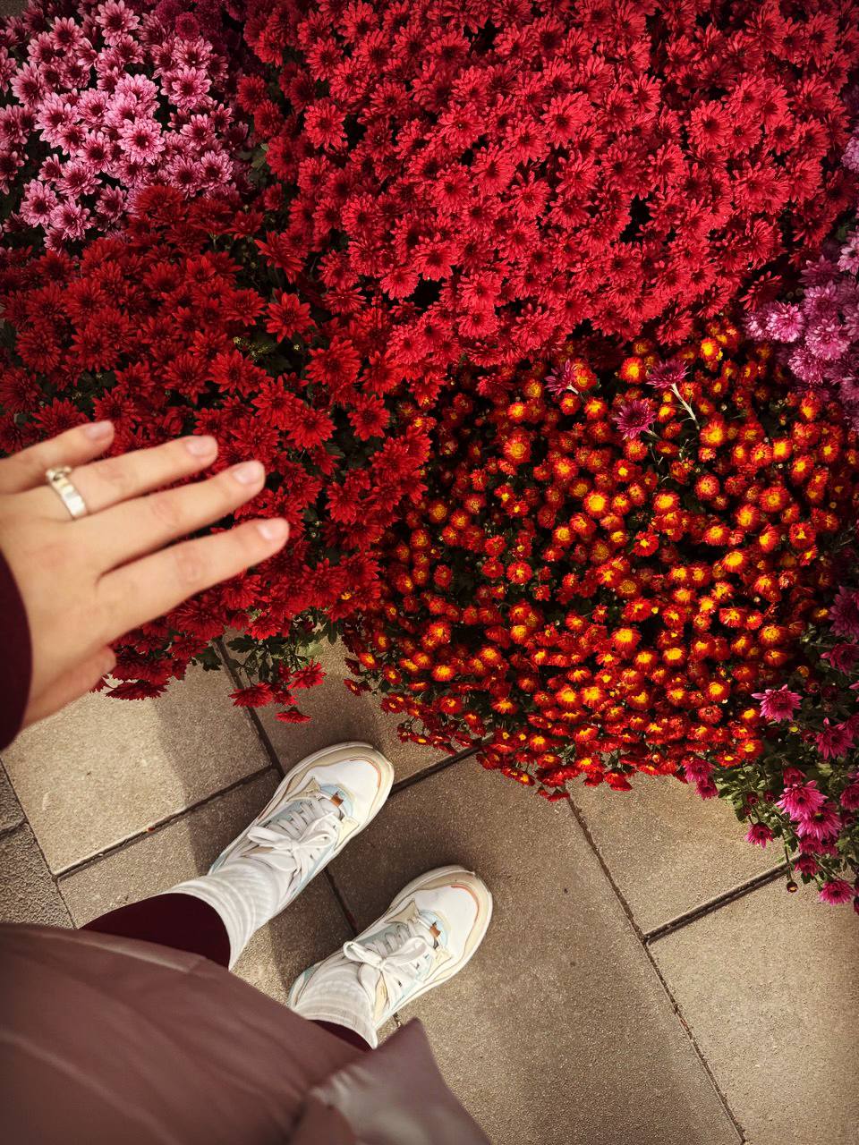 Осінній Дніпро у кадрі: ФОТО