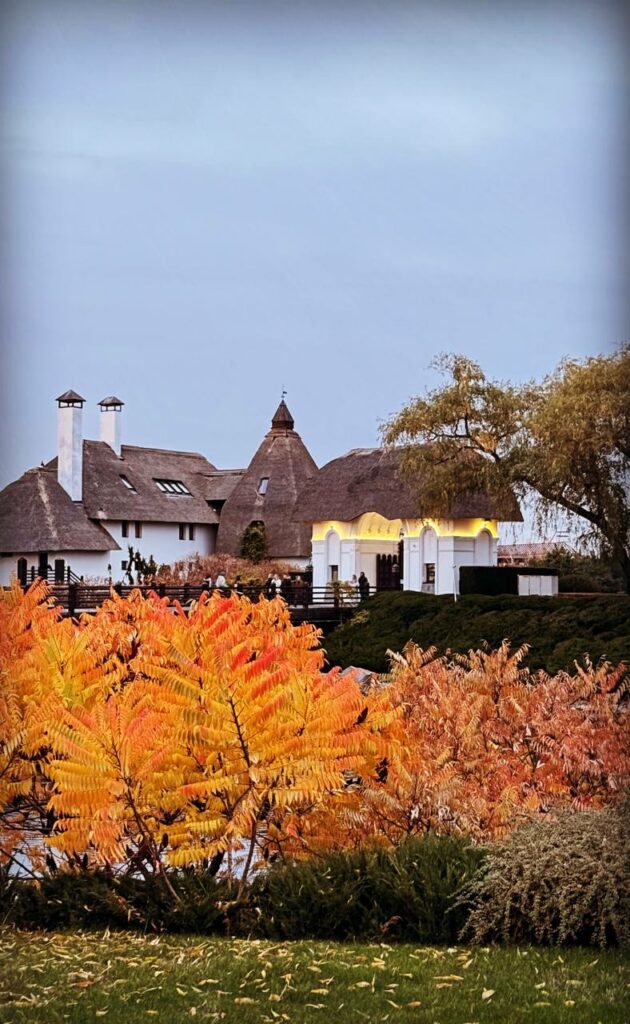 Осінній Дніпро у кадрі: ФОТО