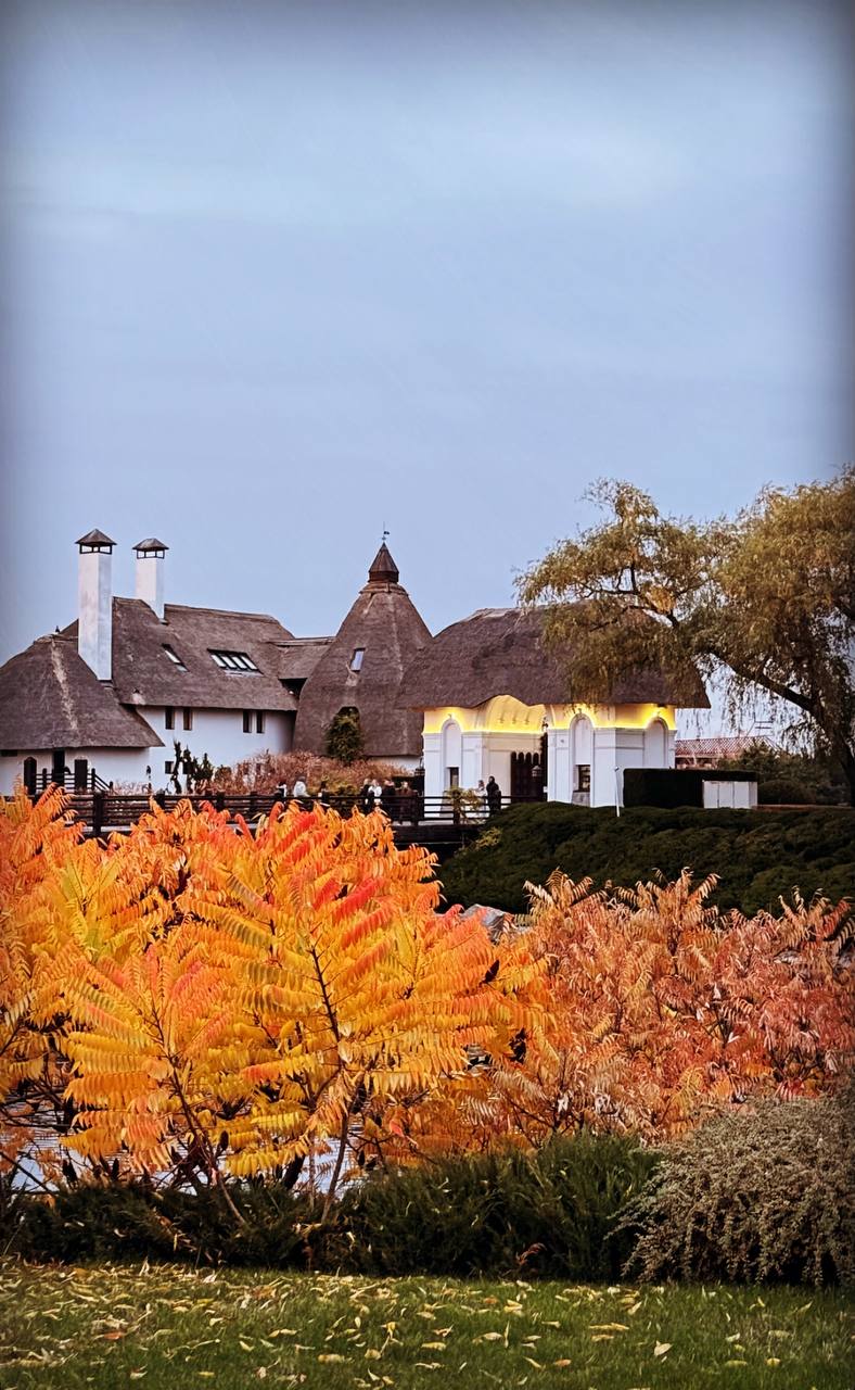 Осінній Дніпро у кадрі: ФОТО