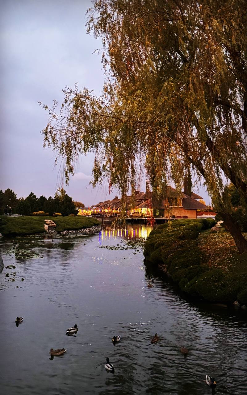 Осінній Дніпро у кадрі: ФОТО