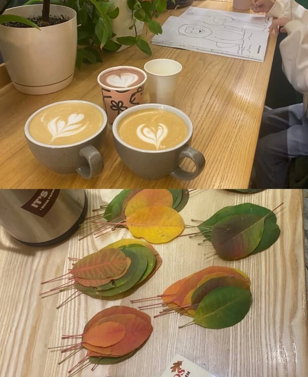 На Дніпропетровщині у кав’ярні діти можуть обміняти осіннє листя на напої