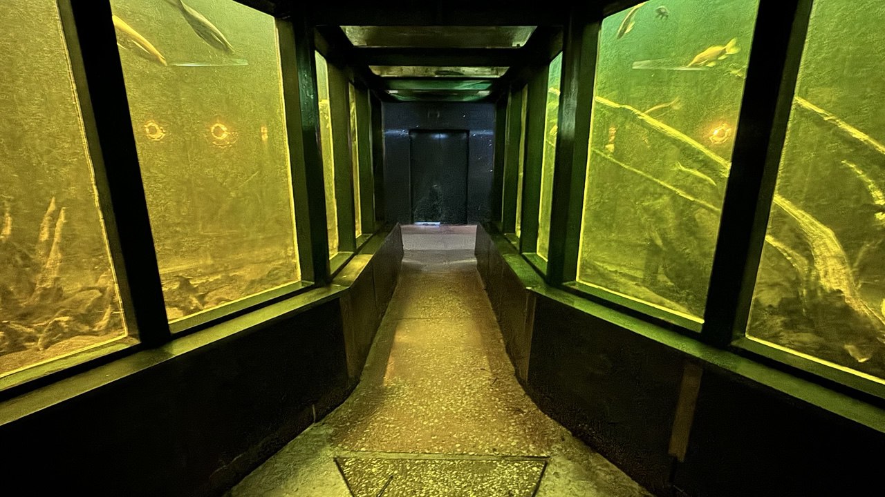 40 років акваріуму у Дніпрі: тоді і зараз. ФОТО