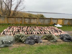 На Дніпропетровщині викрили браконьєрів, які виловили майже 800 кг риби