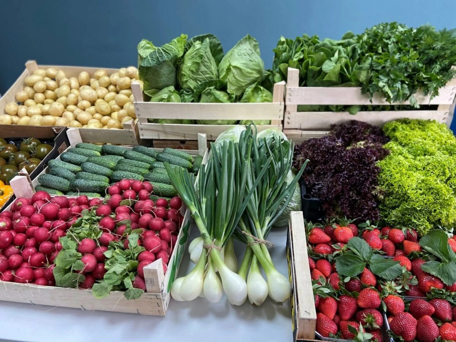 Посівний календар 2026: коли сіяти помідори, огірки та капусту Календар посіву на розсаду 2026: коли сіяти помідори, огірки та капусту