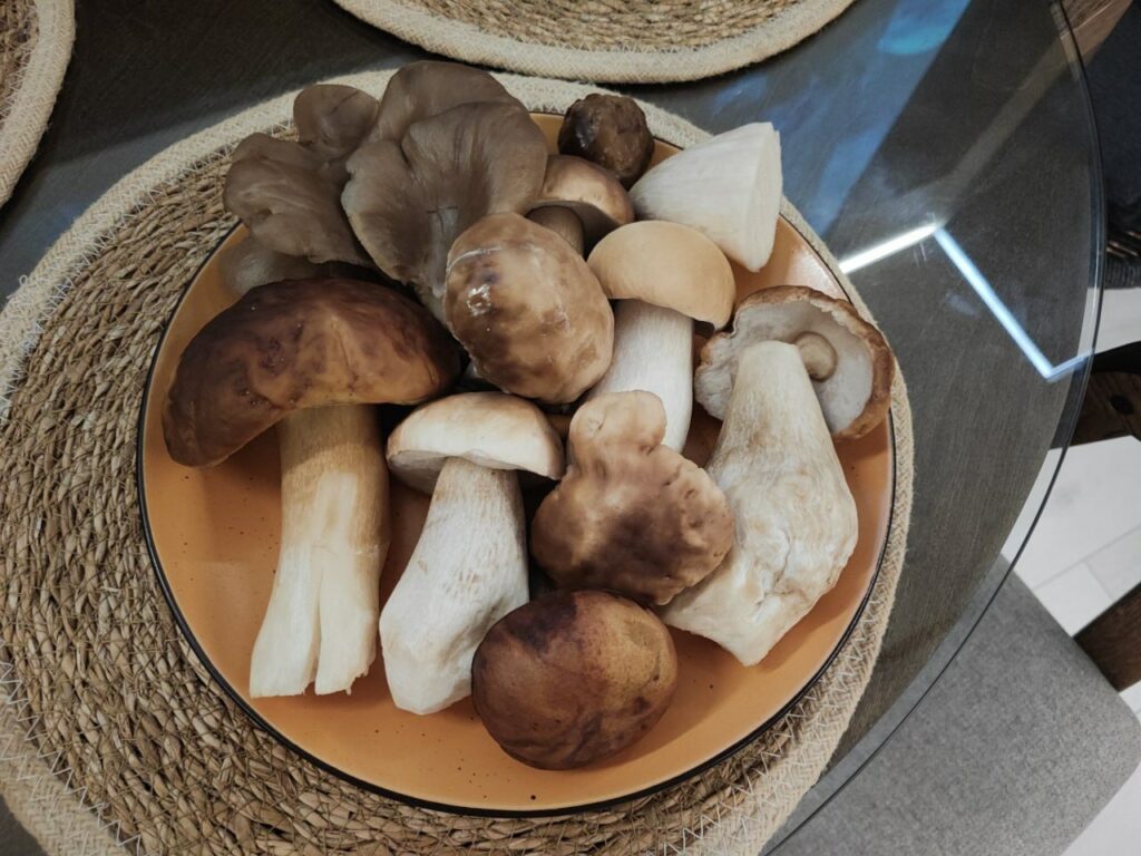 У Дніпрі в грудні активізувався грибний сезон