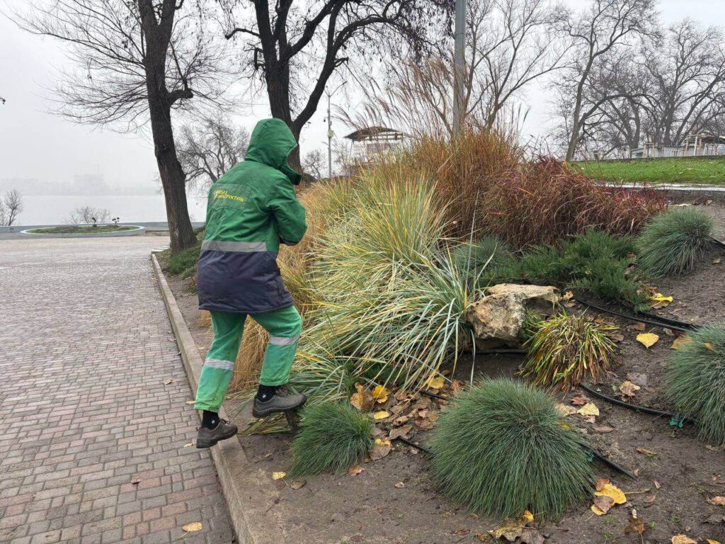 У Дніпрі готують зелені насадження до холодів