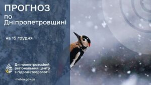 У Дніпрі прогнозують мокрий сніг, ожеледь
