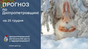 Вночі -12. Прогноз погоди в Дніпрі та області 25 грудня