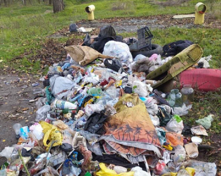 У Дніпрі мешканці утворили сміттєзвалище на території парку