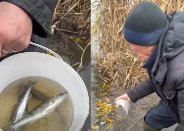 На Дніпропетровщині викрили рибалок із потрійними гачками