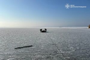 На Дніпропетровщині врятували лебедя, який примерз до криги
