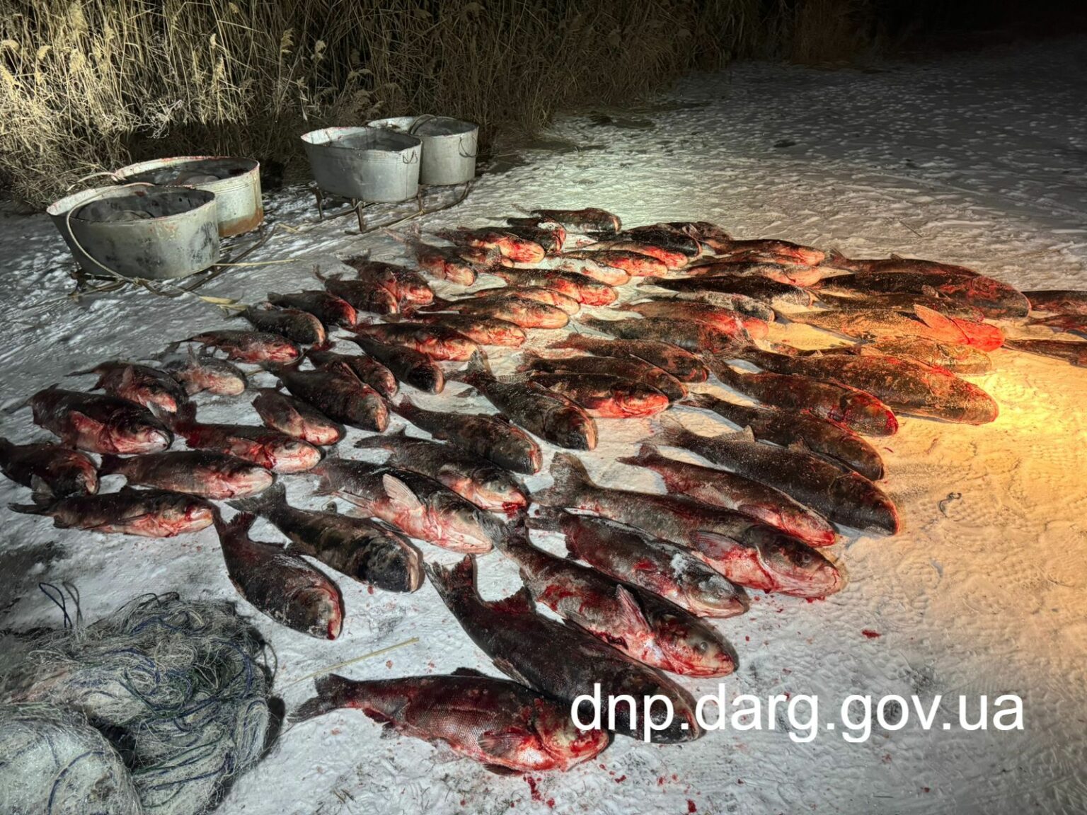 Куди повідомляти, якщо стали свідком порушення правил рибальства на Дніпропетровщині