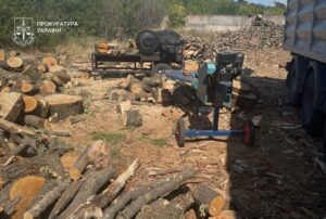Стало відомо, де протягом років вирубали ліс на Дніпропетровщині
