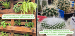 У Дніпрі Ботсад ДНУ запрошує на екскурсію 28 лютого