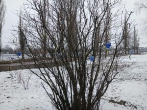 Віра тисяч сердець. На Дніпропетровщині створили Дерево надії