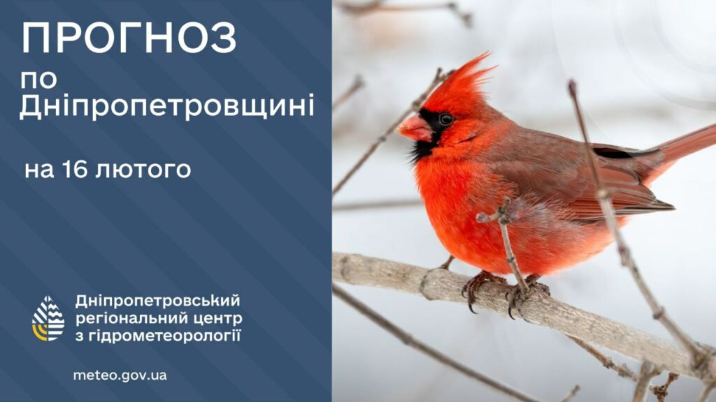 Прогноз погоди на 16 лютого: Дніпро готується до температурних гойдалок