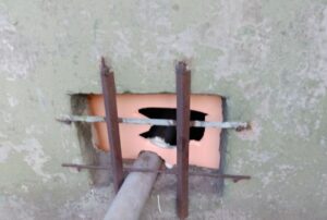 У Дніпрі розгорівся скандал через котів у підвалі