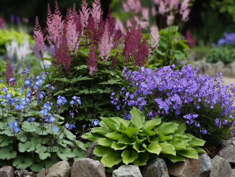 Квіти для двору: які рослини виживуть у тіні, смозі та пилу міста