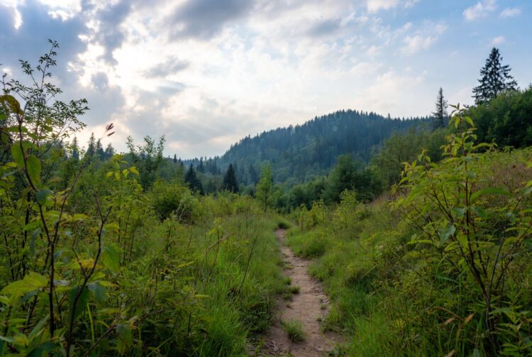 Весна 2026 вступає в права 20 березня: традиції предків і народні прикмети