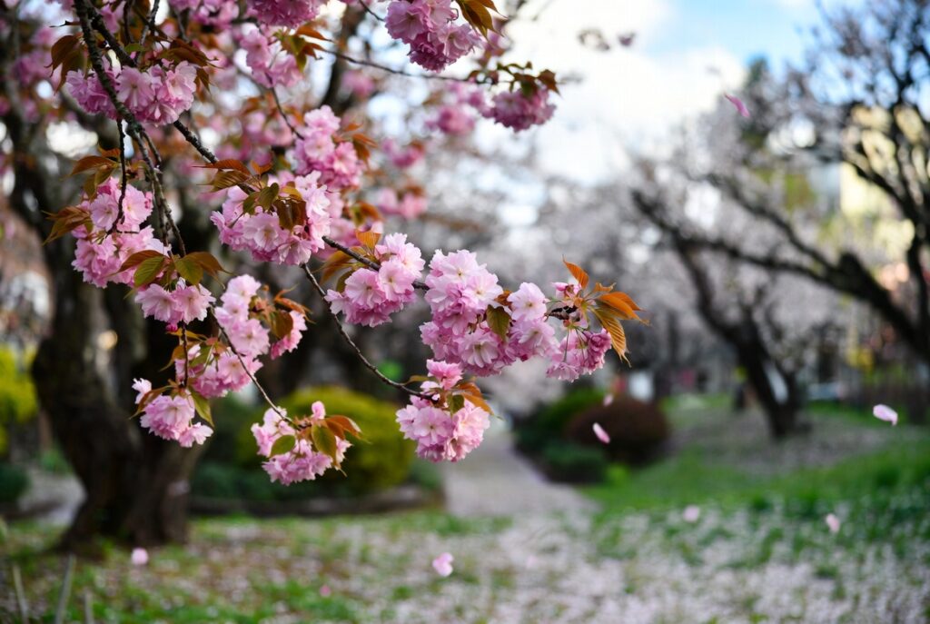 Весна 2026 вступає в права 20 березня: традиції предків і народні прикмети