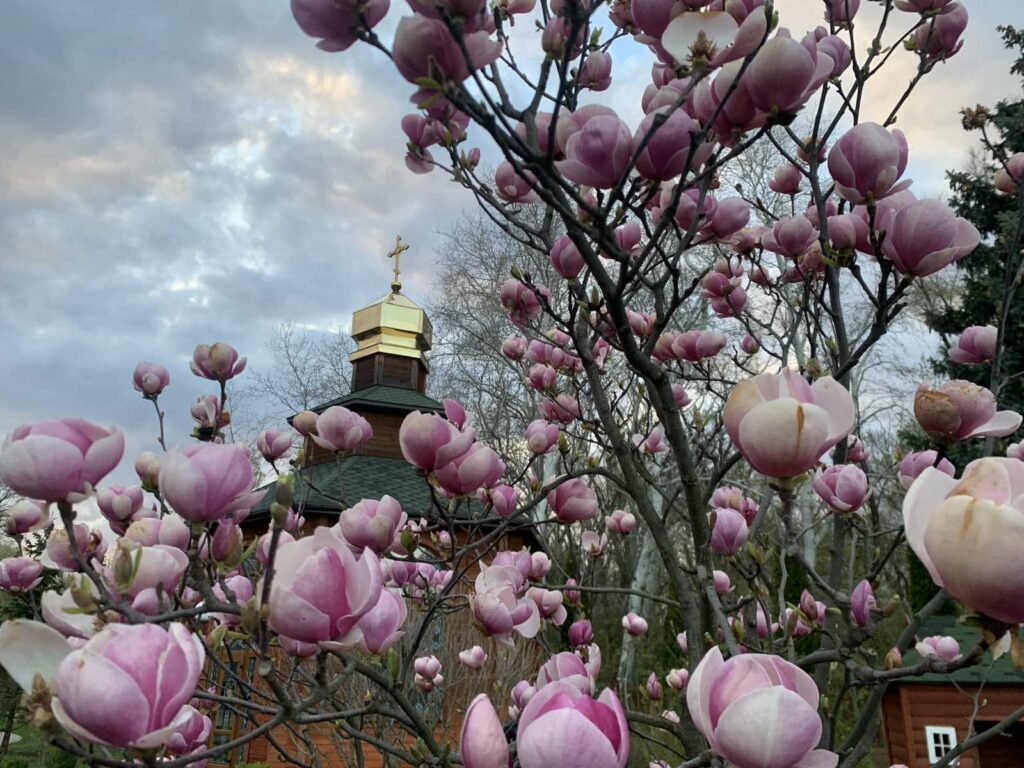 Великдень, Вербна неділя та Проводи: православний календар церковних свят на квітень 2026 року Великдень, Вербна неділя та Проводи: православний календар церковних свят на квітень 2026 року