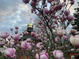 Великдень, Вербна неділя та Проводи: православний календар церковних свят на квітень 2026 року