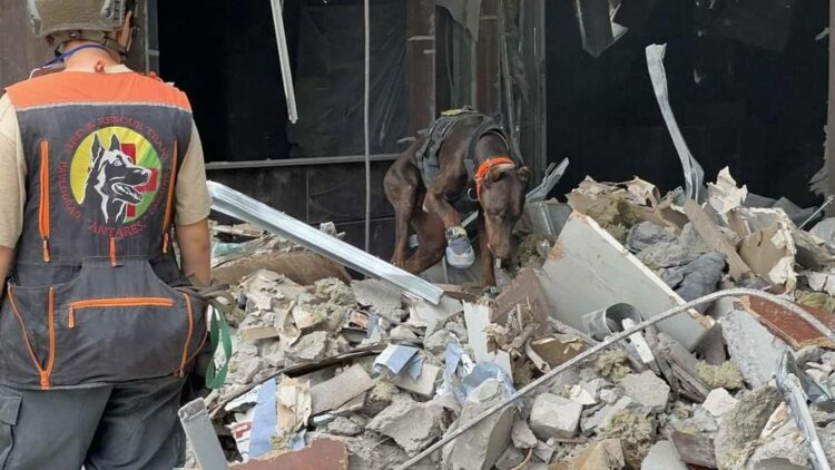 Пішла з життя легендарна пошукова собака Ханна з Павлоградського загону «Антарєс»