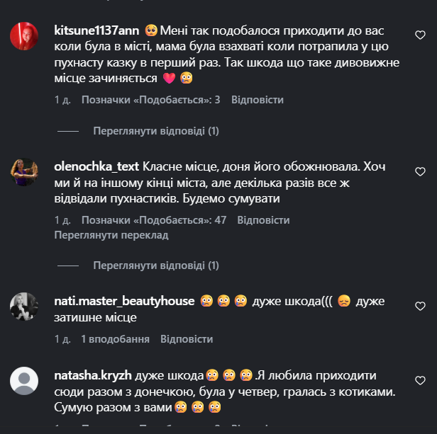 На Дніпропетровщині закривається відоме котокафе: чотирилапим мешканцям шукають новий дім